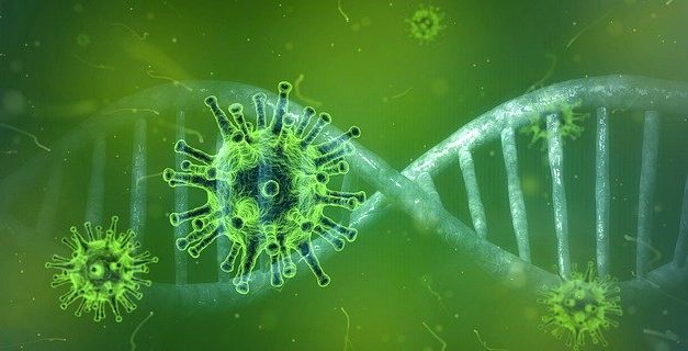 Information zur Corona Virus Epidemie